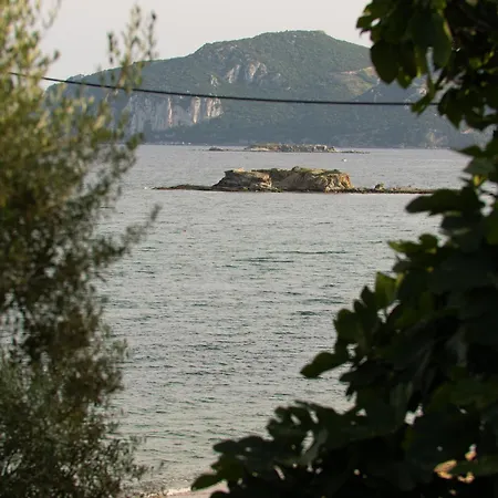 Rhombus By The Sea Daire *