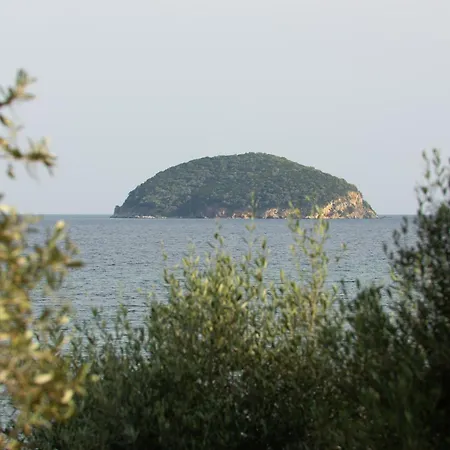 Daire Rhombus By The Sea